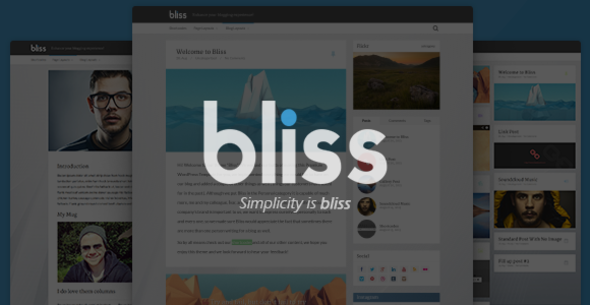 [免费分享]WordPress深度汉化主题 – Bliss