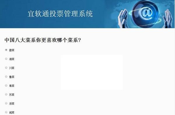 宜软通投票管理系统  商业网站源码免费下载