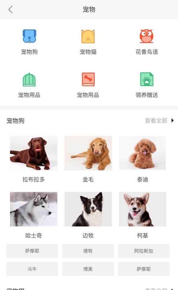 html5网站源码下载 养宠物分类栏目手机页面模板 DIV+CSS代码下载