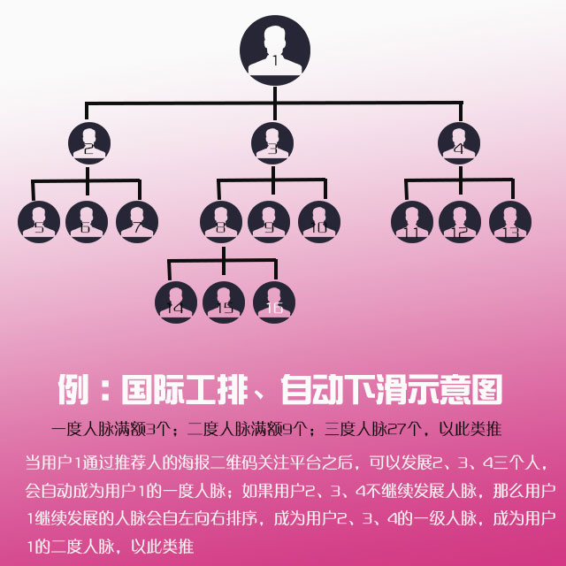 hinkphp三维九度分销新玩法微信三三复制直销系统源码 系统示意图