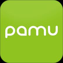 pamu自定义耳机软件