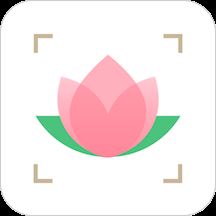 在线识花app