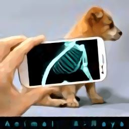 x射线扫描仪动物下载_x射线扫描仪动物手机版下载v2.0 安卓版
