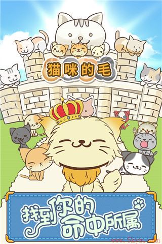 猫咪的毛游戏2022最新版下载