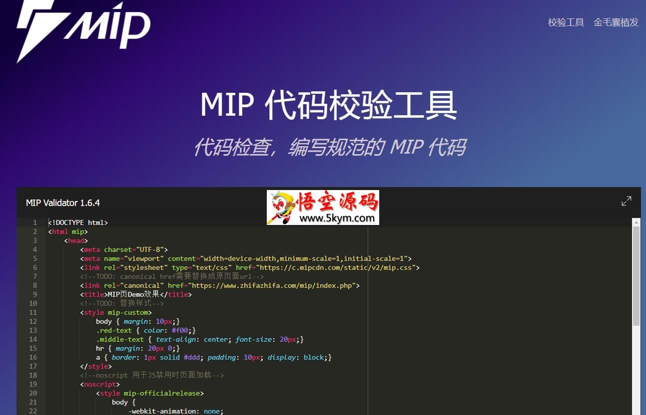 MIP代码规范校验工具 v1.0