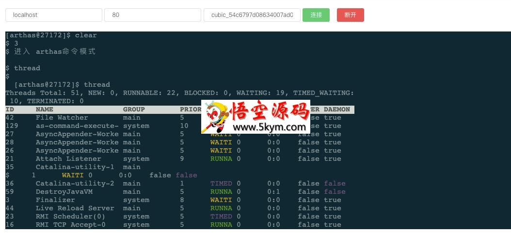 Cubic java应用诊断工具